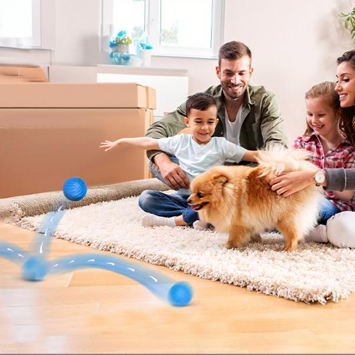Decoding Dogs and Their Toys: Unraveling the Unique Bond