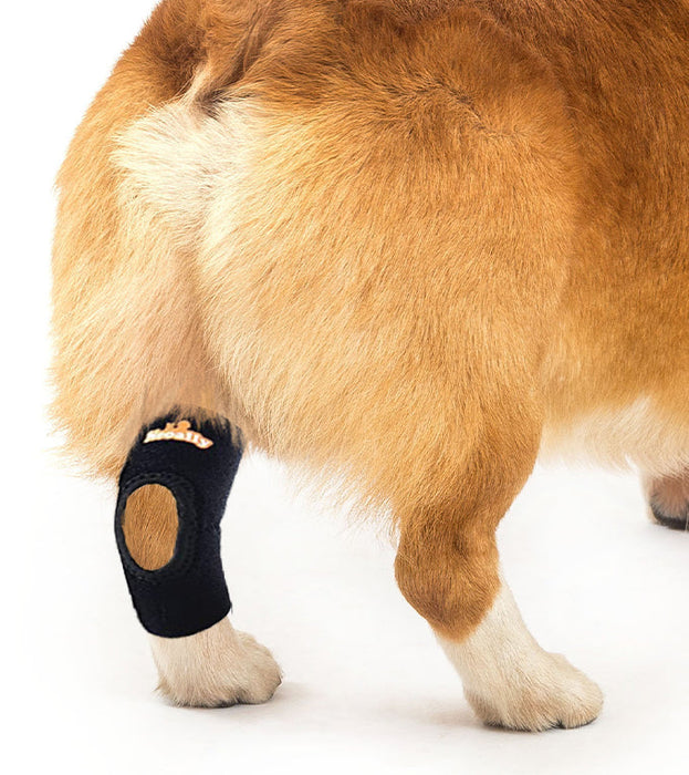 Dog Leg Knee Brace Hock Protector - Joint Wrap For Injury Prevention & Healing - Size M