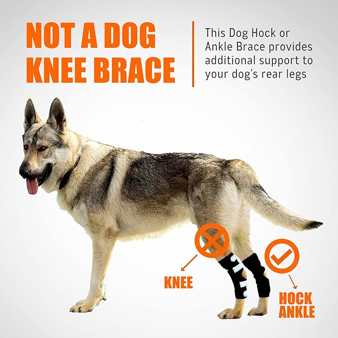 NeoAlly Dog Rear Leg Hock Brace with Metal Spring Strips for Large Dogs [Long Version] (Pair)
