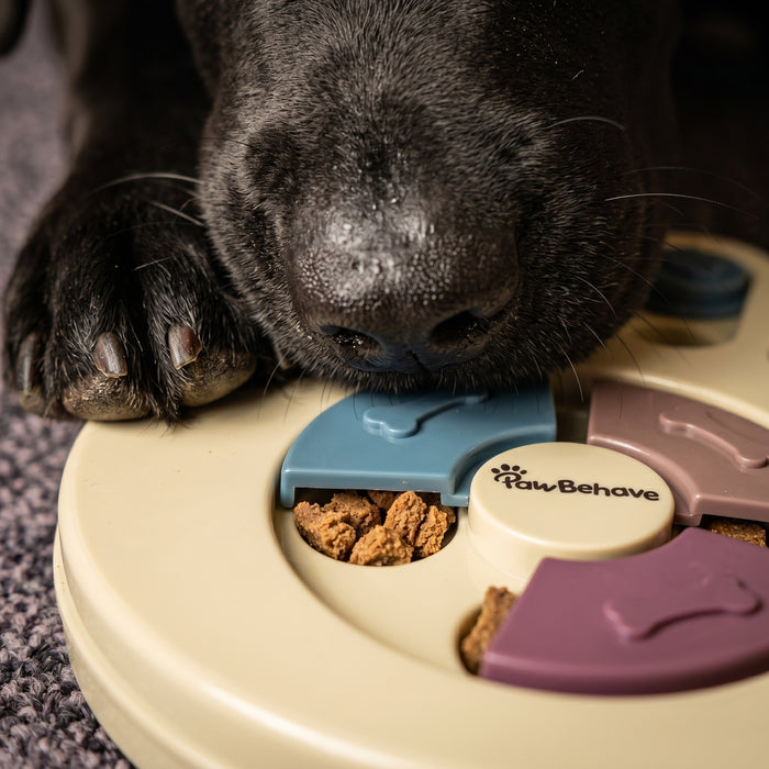 PawBehave Dog Puzzle Toy & Slow Feeder Bowl - Level 1 Interactive Puppy Treat Dispenser - Mental Enrichment Dog Toy to Prevent Gulping, Promote Healthy Digestion, and Turn Mealtime into Playtime