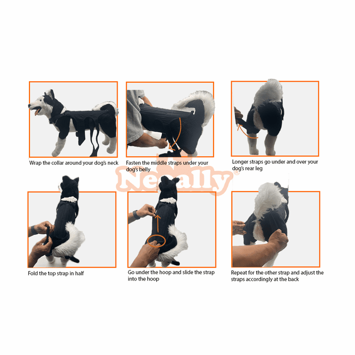 NeoAlly Dog Back Brace for Dogs with Inserts for Extra Support NeoAlly Dog Back Brace for Dogs with Inserts for Extra Support