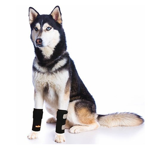 NeoAlly Dog Front Leg Braces: Enhance Safety with Reflective Straps (Pair)