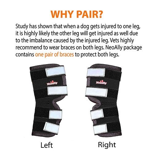 NeoAlly Dog Rear Leg Hock Brace with Safety Reflective Straps for Large Dogs [Long Version]